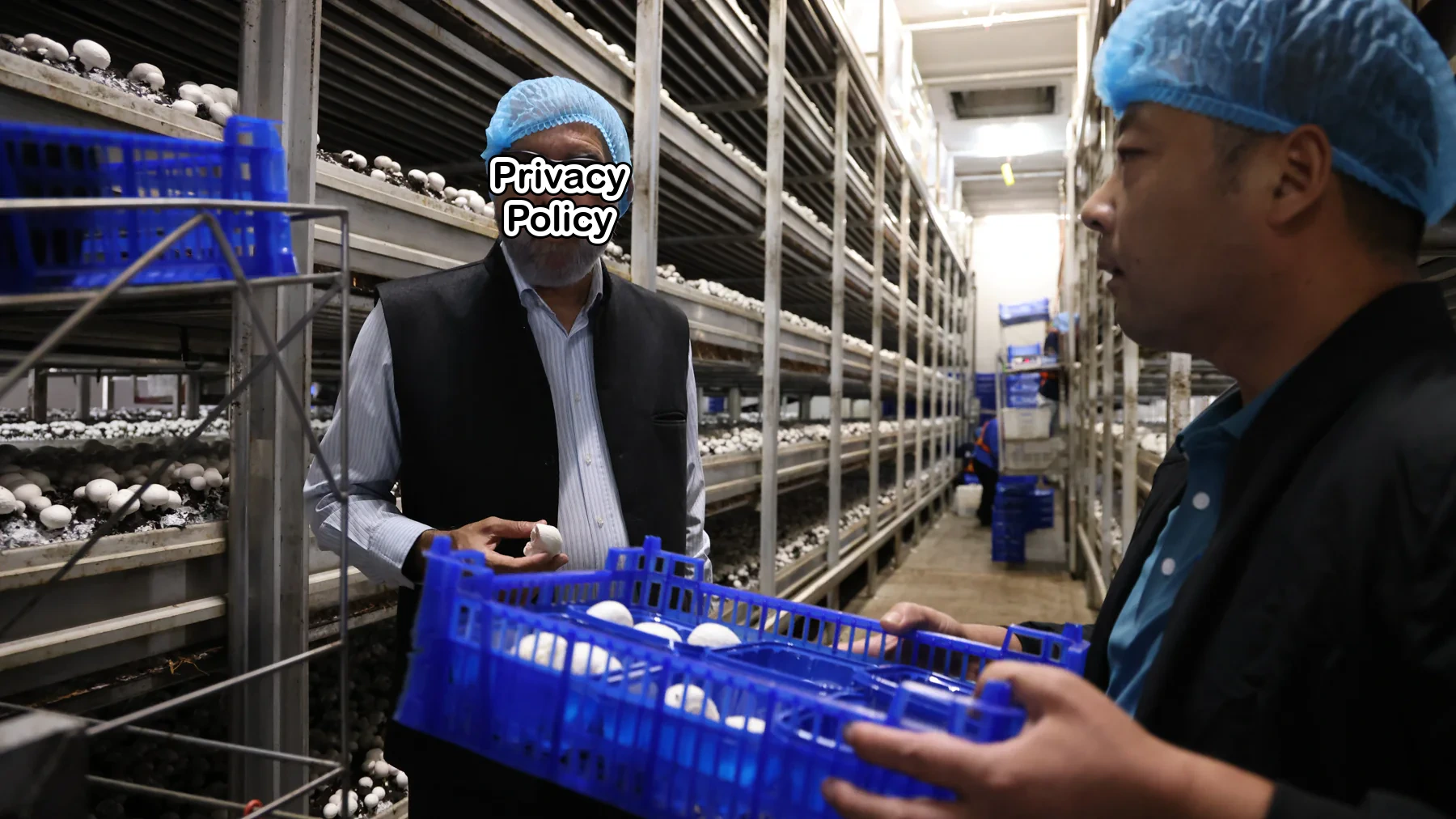 Brazilian academician examining mushroom cultivation at a biotechnology facility in Guannan